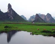 清远天气预报30天